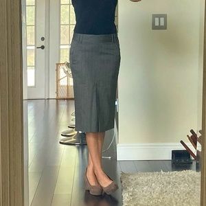 Massimo Dutti Pencil Skirt